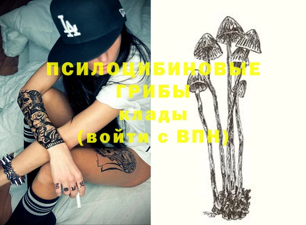 спайс Медвежьегорск