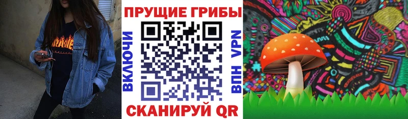 где купить наркоту  Ноябрьск  Псилоцибиновые грибы мухоморы 