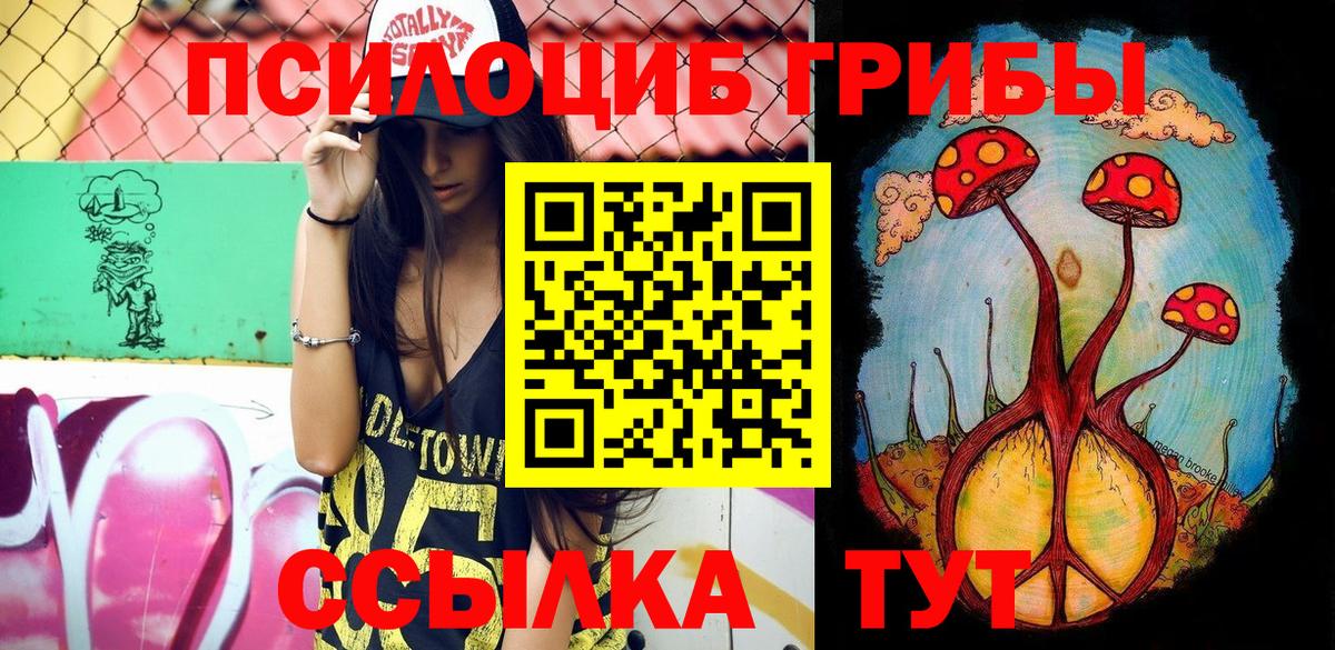 Галлюциногенные грибы Psilocybine cubensis  Псилоцибиновые грибы прущие грибы  Ноябрьск  Вход с VPN 
